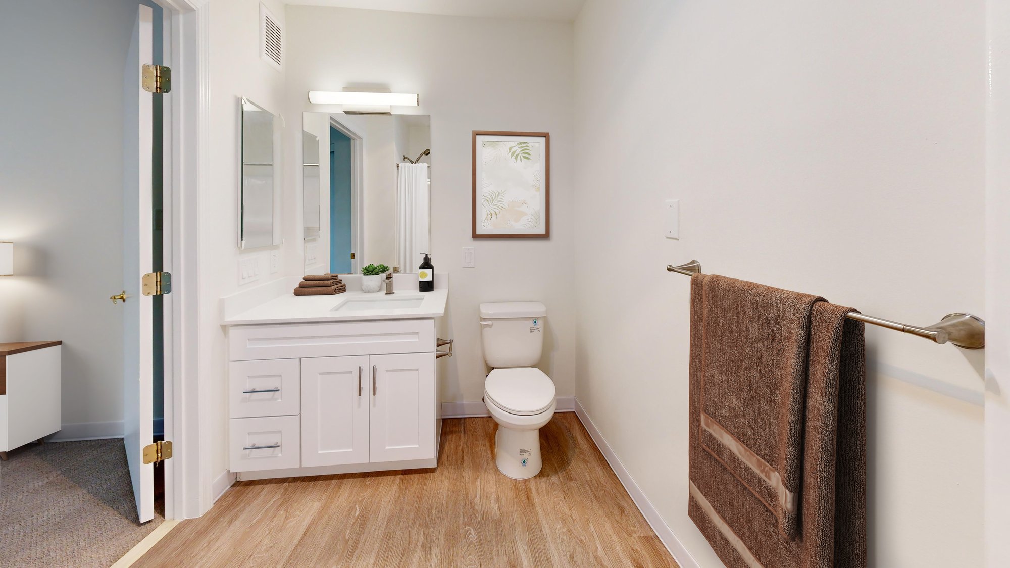 Azalea-Park-IL-1-bed-546-sqft-Bathroom_Virtual Staging