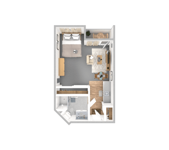 DSL_PSL_AZPK_Suite_Buttonwood_388-571sqft_WEB
